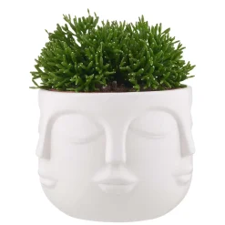 Butlers Blumentöpfe & Übertöpfe-ARTIST Blumentopf Gesichter
