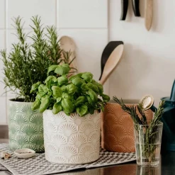 Butlers Blumentöpfe & Übertöpfe-BLOOMY Blumentopf 6er-Set