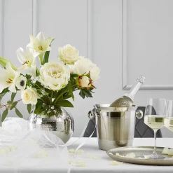 Butlers Aufbewahrungsgläser-CHAMPAGNE Flaschenkühler