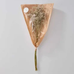 Butlers Kunstpflanzen|Trockenblumen-FLOWER MARKET Trockenblume Schleierkraut