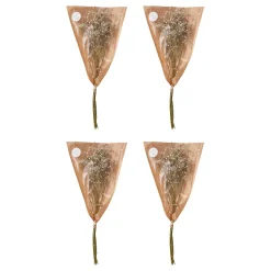 Butlers Kunstpflanzen|Trockenblumen-FLOWER MARKET Trockenblume 4er-Set