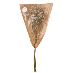 Butlers Kunstpflanzen|Trockenblumen-FLOWER MARKET Trockenblume 4er-Set