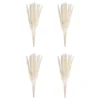 Butlers Kunstpflanzen|Trockenblumen-FLOWER MARKETTrockenblume Mini-Pampasgras 6er-Set