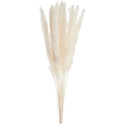 Butlers Kunstpflanzen|Trockenblumen-FLOWER MARKETTrockenblume Mini-Pampasgras 6er-Set