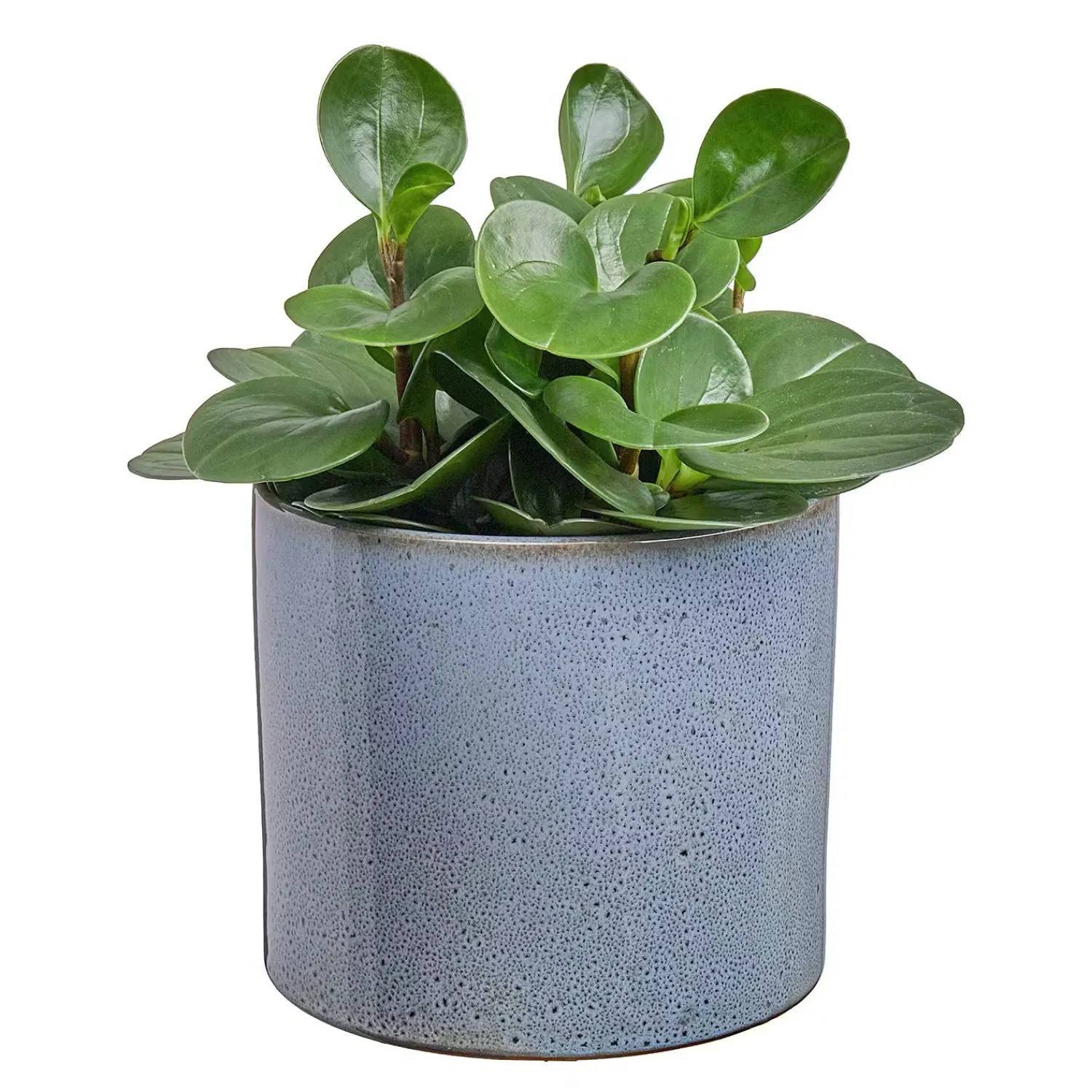 Butlers Blumentöpfe & Übertöpfe-GLAZE Blumentopf