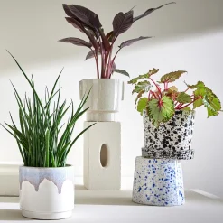 Butlers Blumentöpfe & Übertöpfe-PAINTED Blumenübertopf 4er-Set