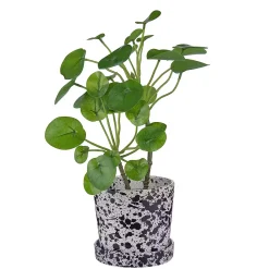 Butlers Blumentöpfe & Übertöpfe-SPLASH Blumenübertopf mit Teller